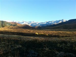 4 ha Farm in Underberg