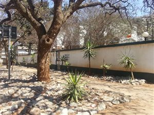 2 Bed Apartment in Arcadia