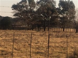 7.2 ha Land available in Daleside