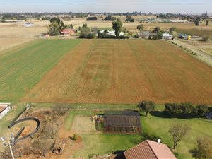 4 ha Farm in Springs Central