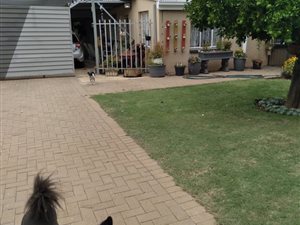3 Bed House in Brandfort
