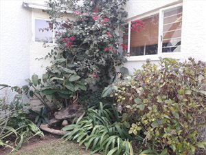 3 Bed Townhouse in Fairmount