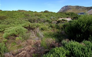 1000 m² Land available in Pringle Bay