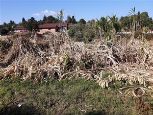 1115 m² Land available in Graskop