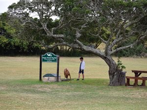 1496 m² Land available in Colleen Glen