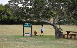 1496 m² Land available in Colleen Glen