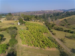 3 m² Land available in Drummond