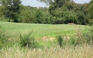 803 m² Land available in Parys Golf Estate