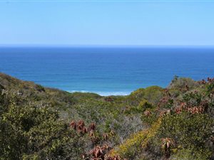 2000 m² Land available in Springerbaai Eco Estate