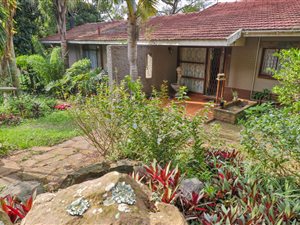 17 Bed House in Berea West