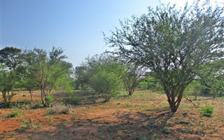 4900 m² Land available in Hoedspruit Wildlife Estate