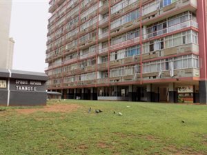 2 Bed Apartment in Sunnyside