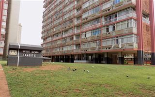 2 Bedroom Apartment in Sunnyside