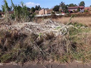 1115 m² Land available in Graskop