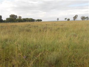 2.1 ha Land available in Sherman Park AH