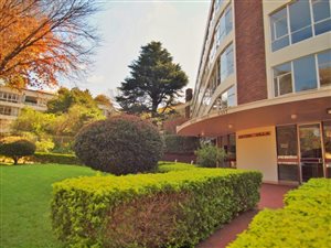 3 Bed Apartment in Birdhaven