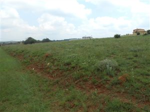 1 ha Land available in Grootfontein Estate