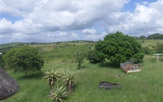 33 ha Farm in Empangeni