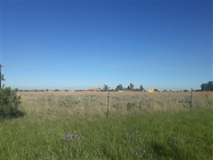 1 ha Land available in Nelsonia