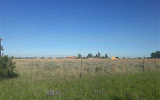1 ha Land available in Nelsonia
