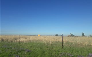 1 ha Land available in Nelsonia