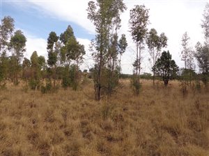 1068 m² Land available in Roodeplaat