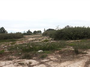 2986 m² Land available in Hopefield