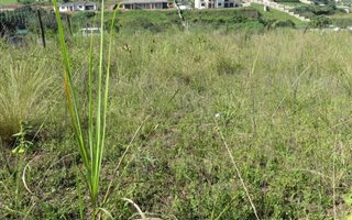 900 m² Land available in Amanzimtoti