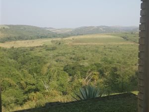 3.8 ha Farm in Empangeni