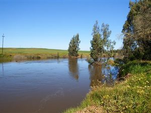 295 ha Farm in Piketberg