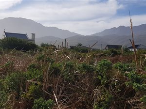 768 m² Land available in Pringle Bay