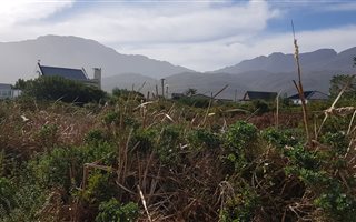 768 m² Land available in Pringle Bay
