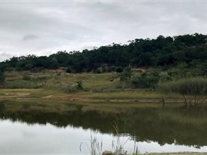 1.4 ha Land available in White River