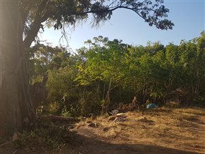 3222 m² Land available in Malvern