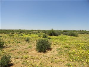 12000 ha Farm in Kakamas