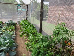 442 ha Farm in Hankey