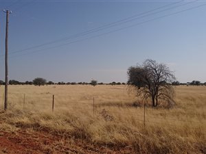 967 ha Farm in Christiana