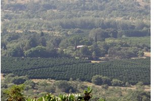 311 ha Farm with House in Buffelspoort Dam