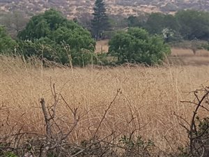 1348 m² Land available in Estcourt