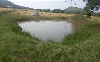 16 ha Farm in Mooinooi