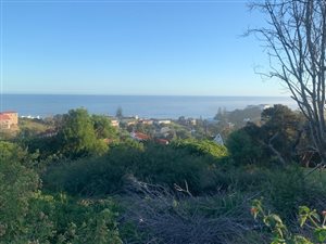 1019 m² Land available in Brenton on Sea