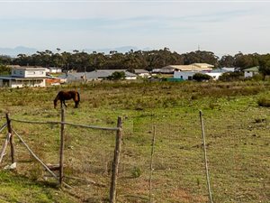 9340 m² Farm in Firlands