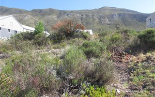1007 m² Land available in Onrus