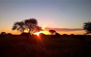11 ha Farm in Brits