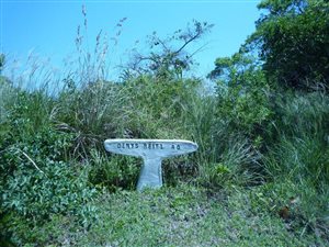 1468 m² Land available in Palm Beach