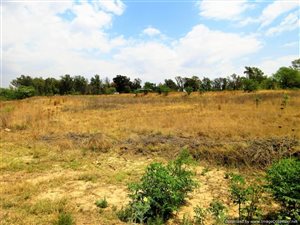 3 ha Land available in Diepsloot