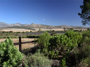 1000 m² Land available in Bot River