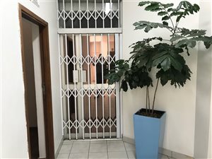 87 m² Office Space in Amanzimtoti