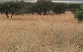 Farm in Kimberley