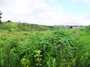 1.1 ha Land available in Umbumbulu